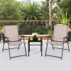 Set of 2 Patio Dining Chairs with Armrests and Rustproof Steel Frame