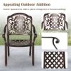 Patio Cast Aluminum Dining Chairs Set of 2 Metal Armchairs Stackable