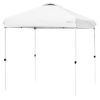 6.6 x 6.6 Feet Outdoor Pop-up Canopy Tent with Roller Bag