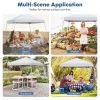 10 x 10 Feet Outdoor Instant Pop-up Canopy with Carrying Bag