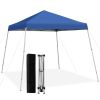 10 x 10 Feet Outdoor Instant Pop-up Canopy with Carrying Bag